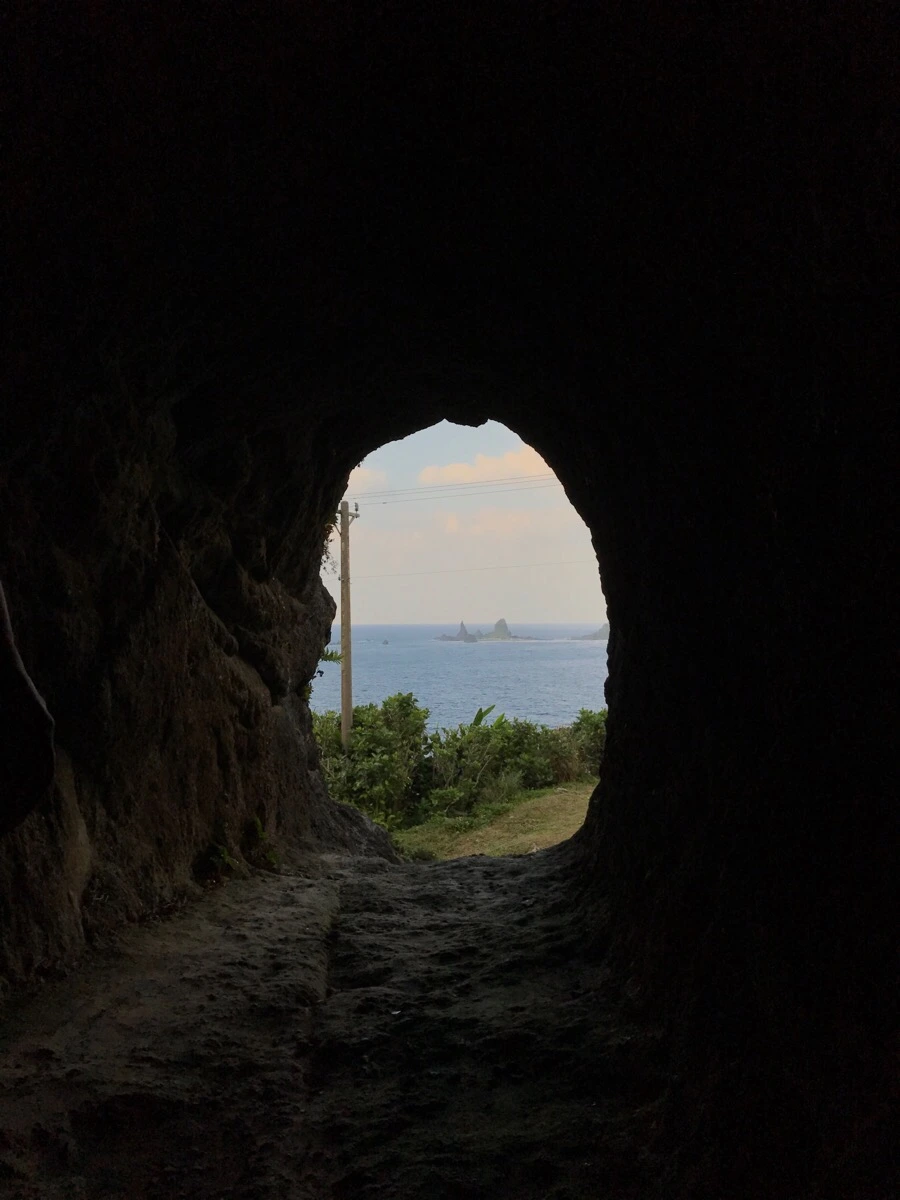 IMG_3775.jpg?type=w966