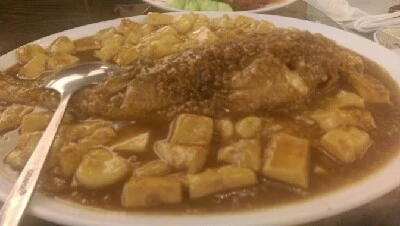 IMAG5915.jpg?type=w773