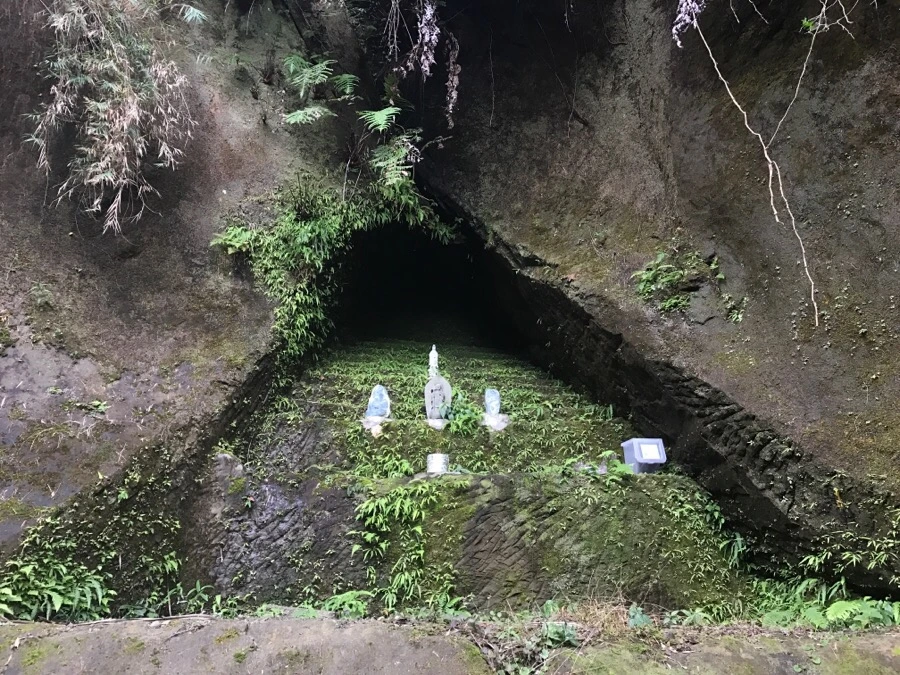 IMG_1097.jpg?type=w966