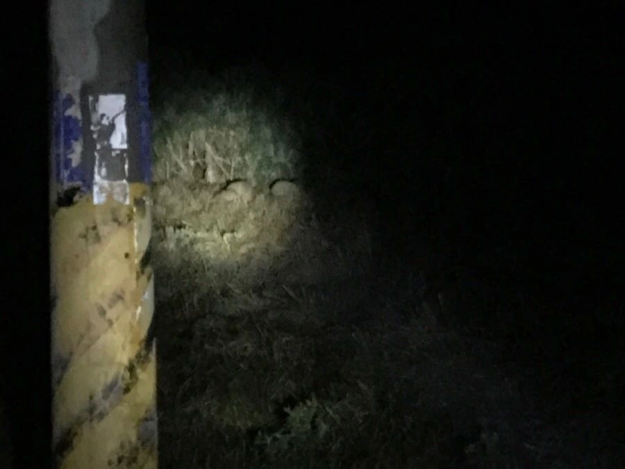 IMG_1445.jpg?type=w966