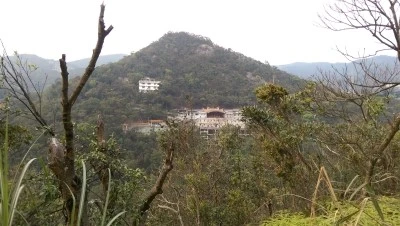 IMAG4168.jpg?type=w2