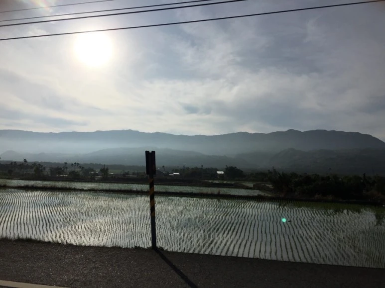 attachImage_4195556836.jpeg?type=w773