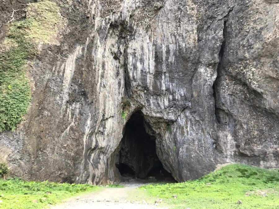 IMG_3758.jpg?type=w966