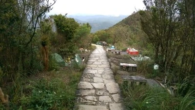 IMAG4171.jpg?type=w2