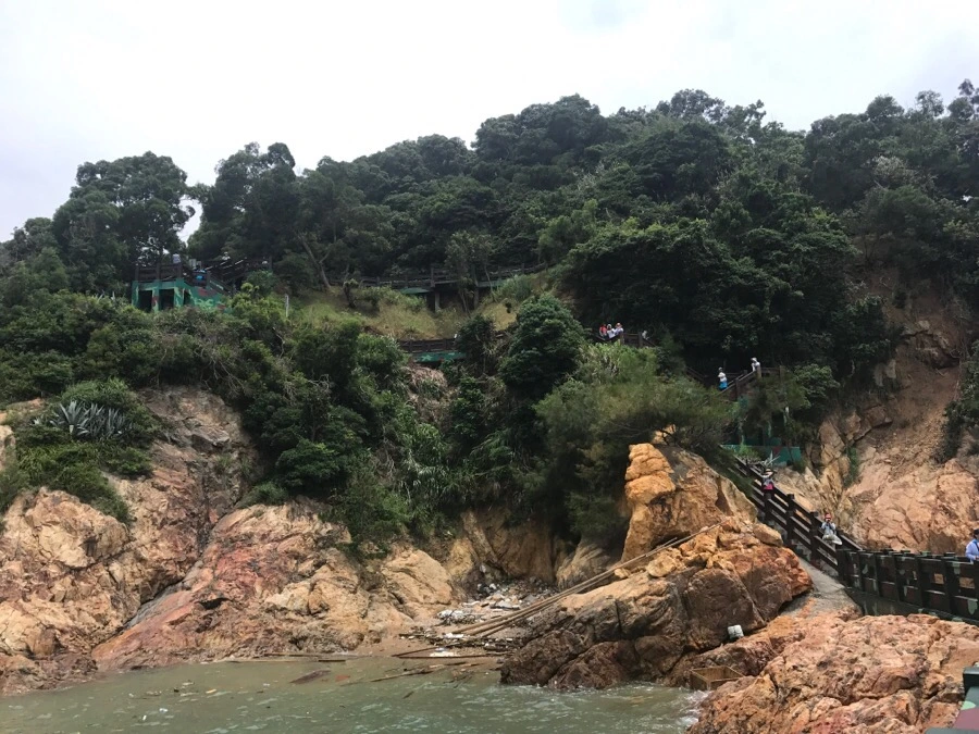 IMG_8400.jpg?type=w966