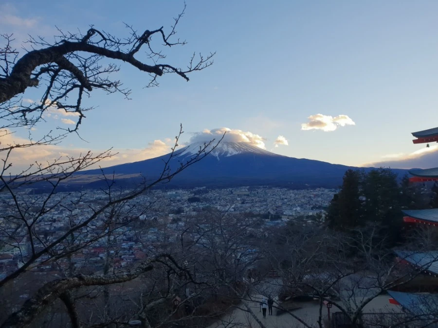 20190126_164231.jpg?type=w1