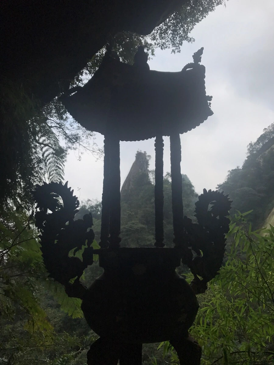 IMG_1095.jpg?type=w966