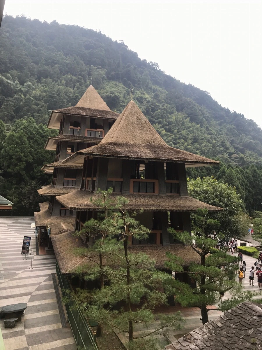 IMG_2996.jpg?type=w966