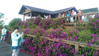 IMAG4853.jpg?type=w773