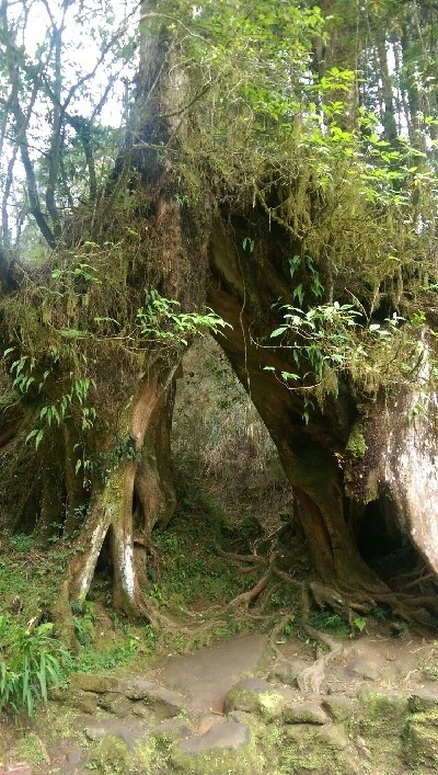 IMAG4908.jpg?type=w773