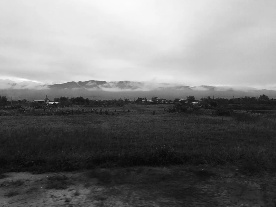 IMG_1351.jpg?type=w966