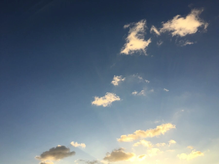 attachImage_3731060965.jpeg?type=w966