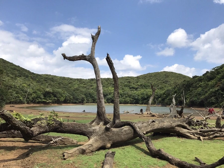 IMG_4034.jpg?type=w966