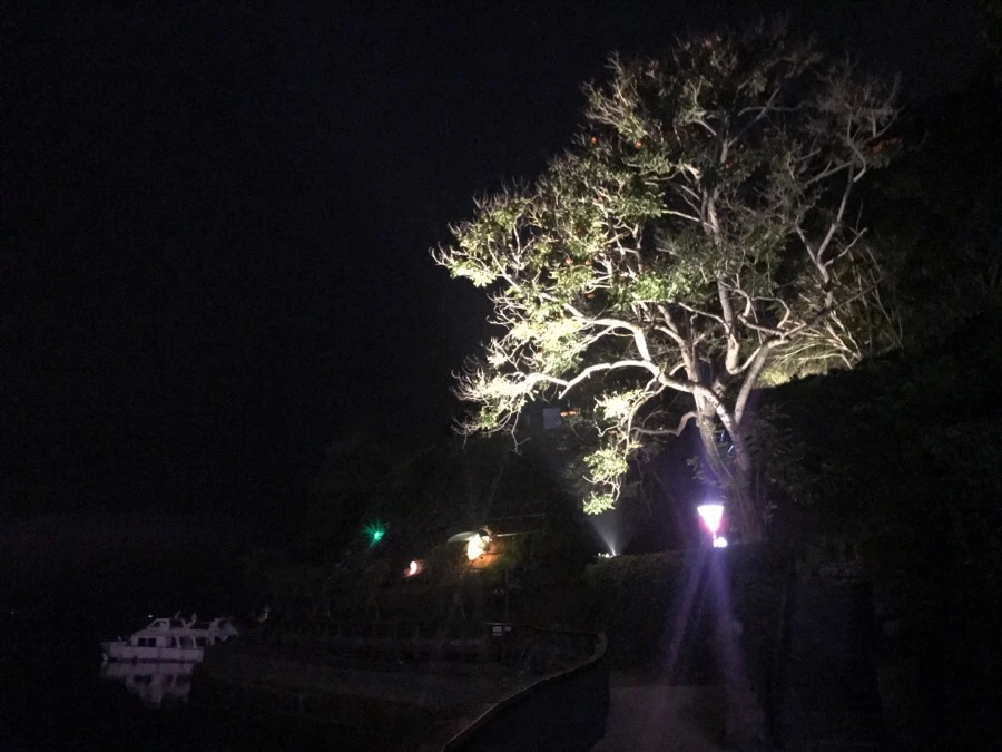 IMG_3173.jpg?type=w966