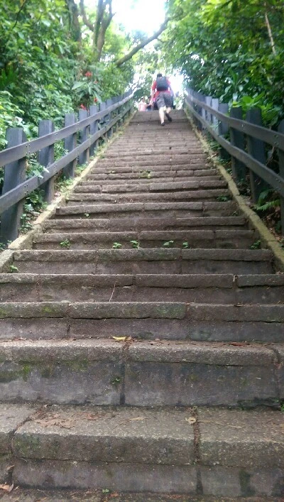 IMAG5134.jpg?type=w773