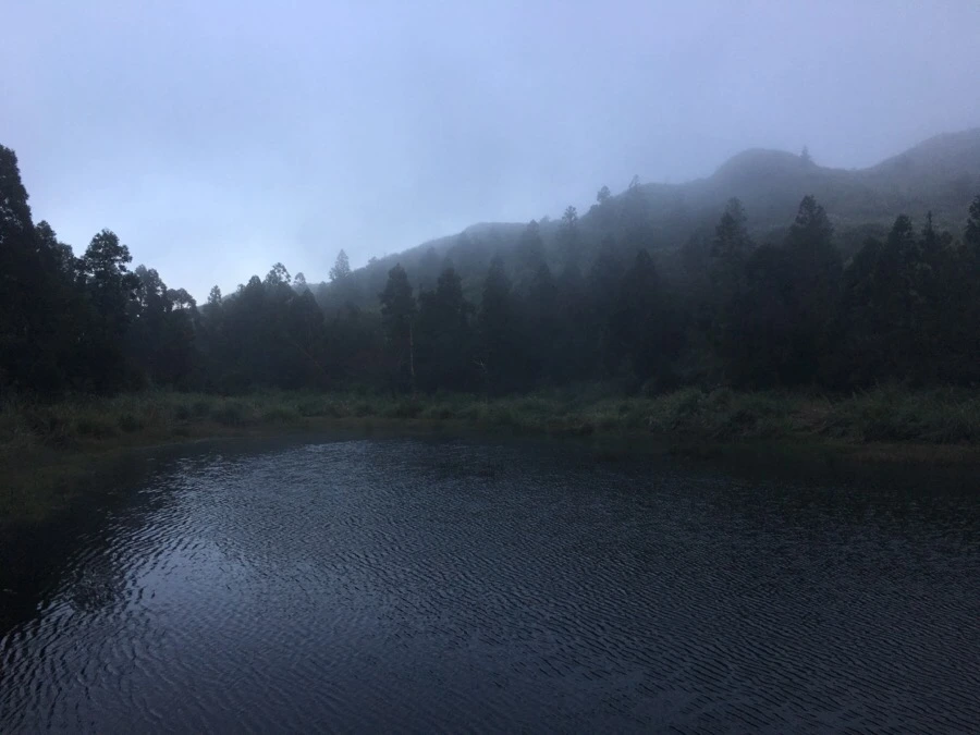 IMG_5412.JPG?type=w966