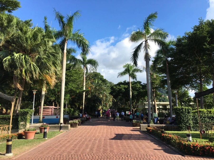 attachImage_2740347173.jpeg?type=w966