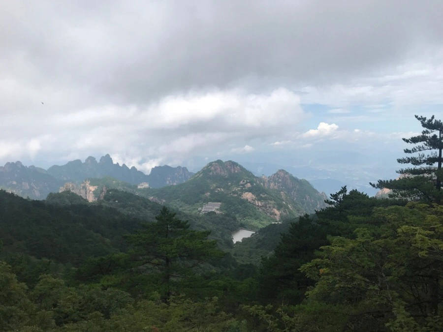 IMG_0757.jpg?type=w966