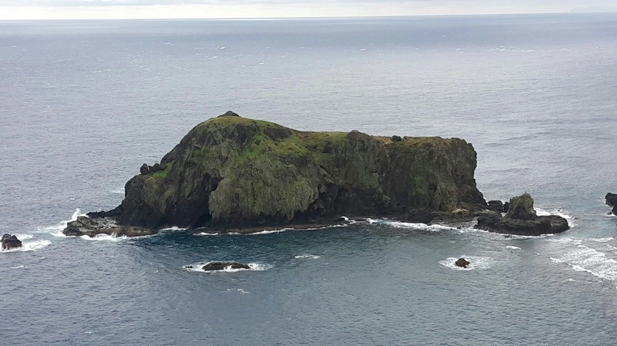 IMG_1851.jpg?type=w966