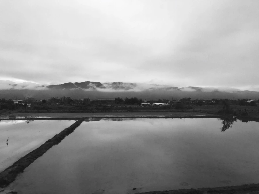 IMG_1349.jpg?type=w966