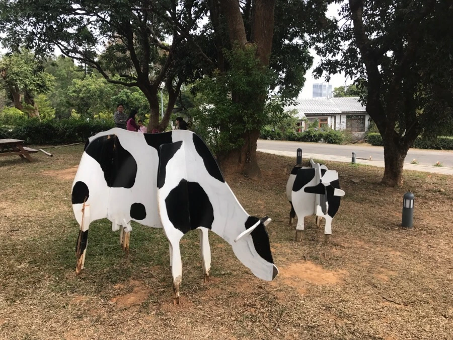 IMG_9981.jpg?type=w966