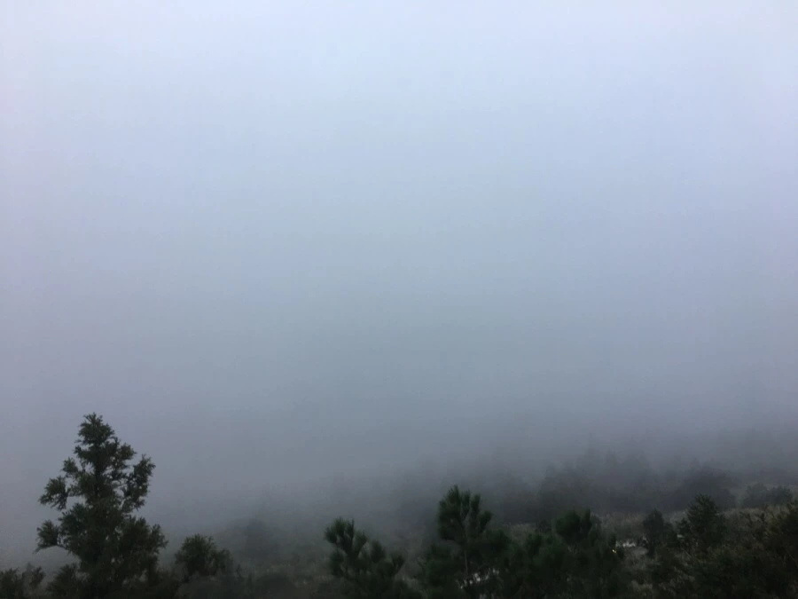 IMG_5393.JPG?type=w966