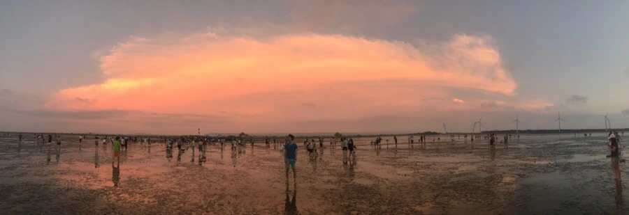 IMG_3341.jpg?type=w966