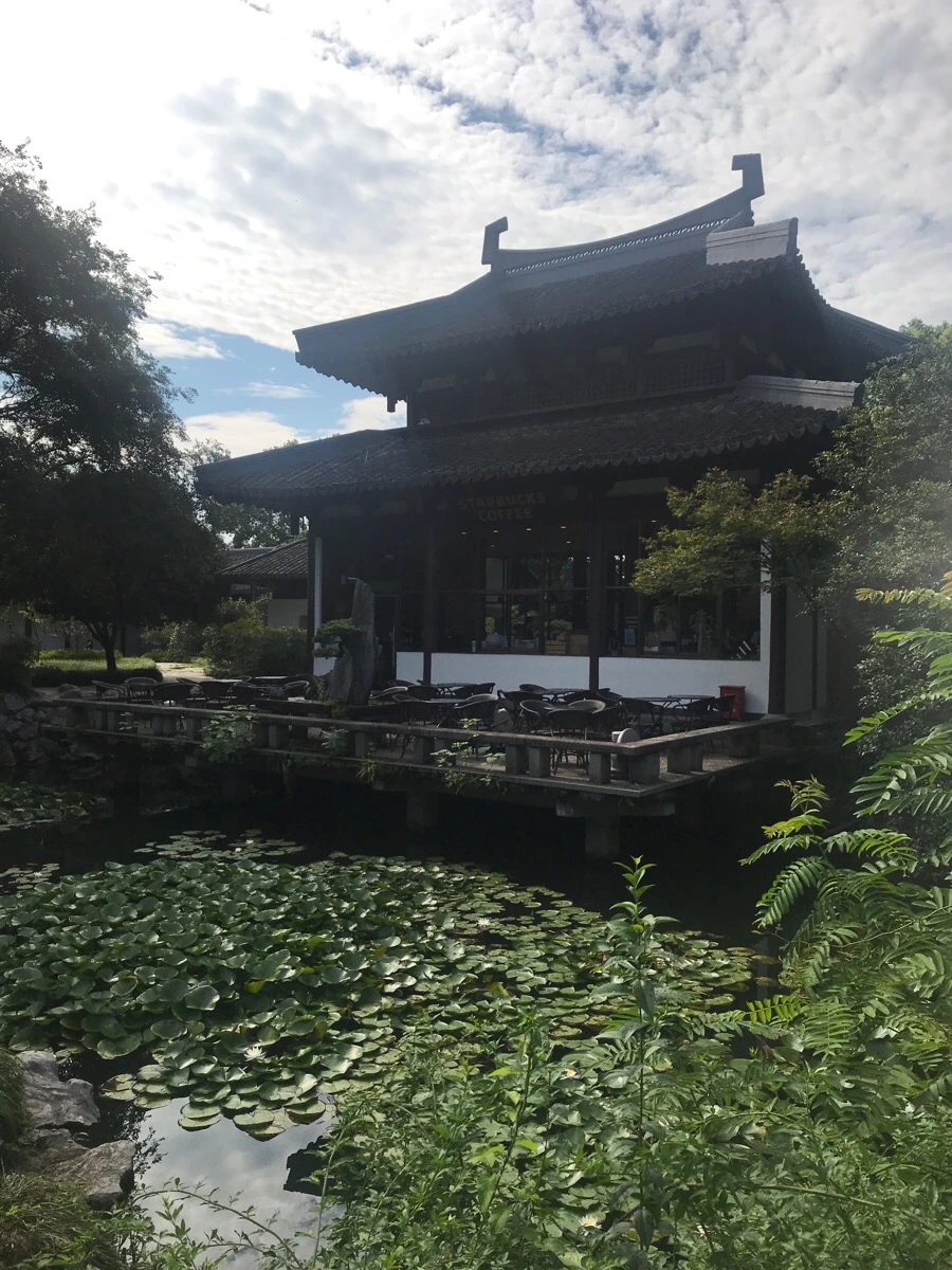 IMG_1128.jpg?type=w966