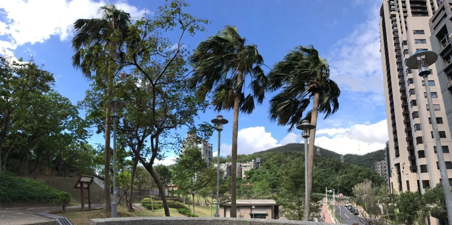 IMG_4828.JPG?type=w966