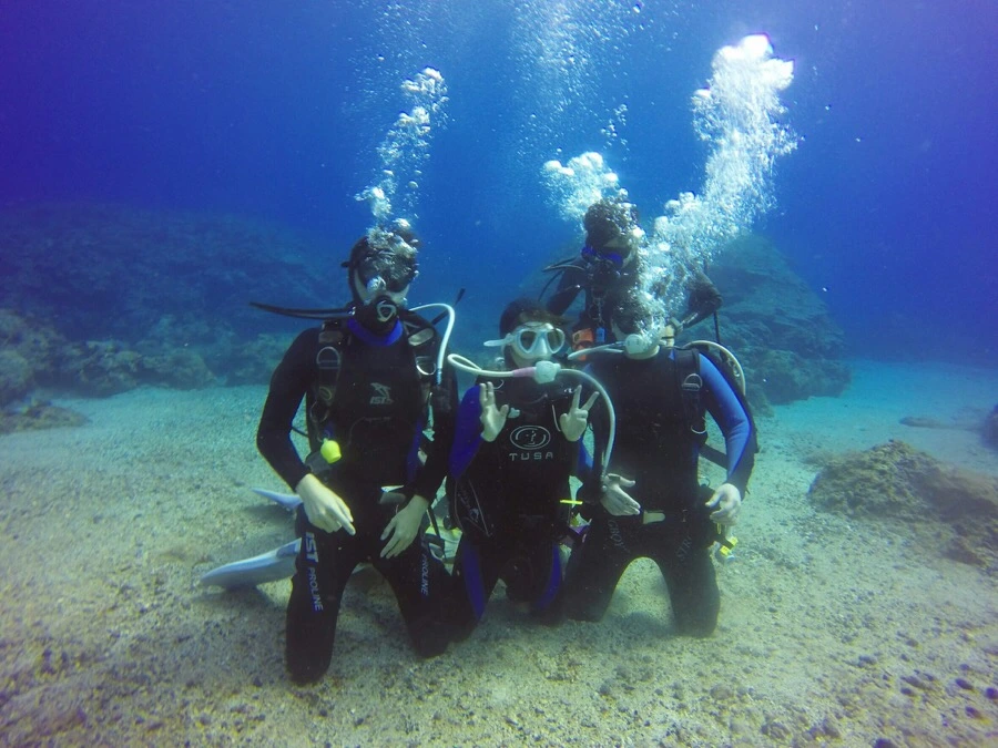 IMG_3604.jpg?type=w966