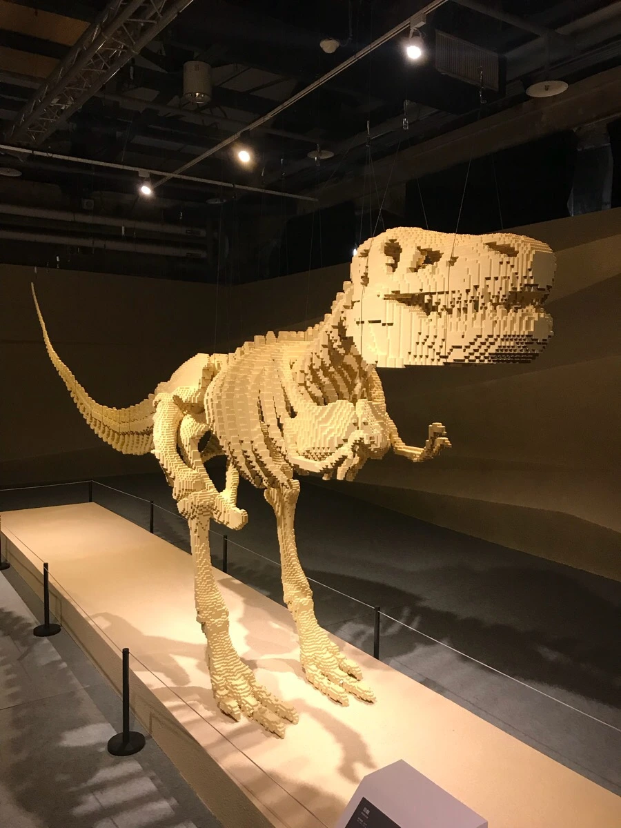 IMG_9304.jpg?type=w966