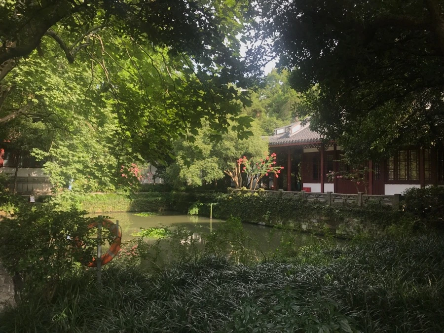 IMG_1118.jpg?type=w966