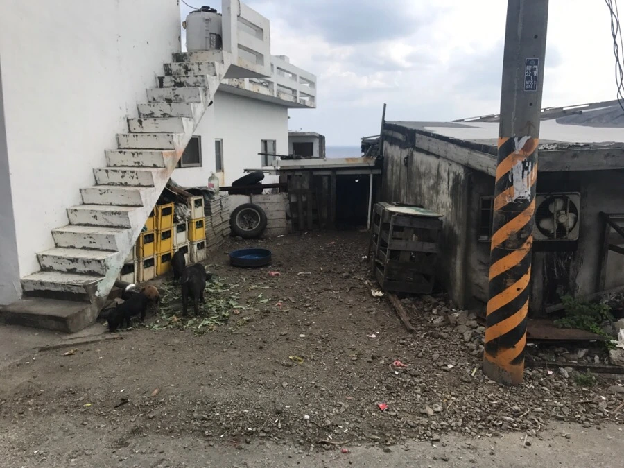 IMG_3869.jpg?type=w966