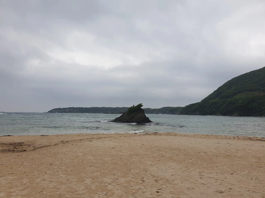 20190608_105527.jpg?type=w1