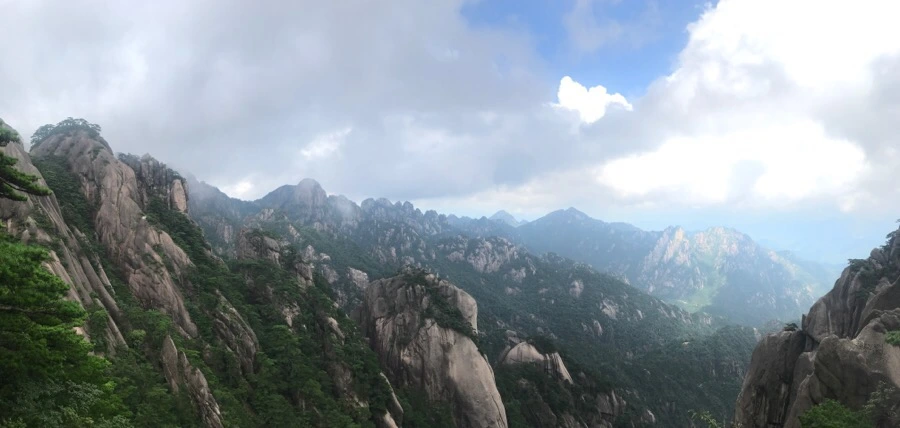 IMG_0895.jpg?type=w966