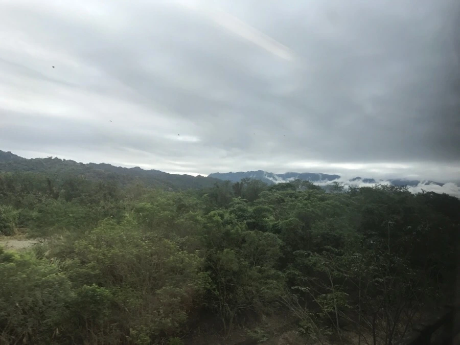 IMG_1354.jpg?type=w966