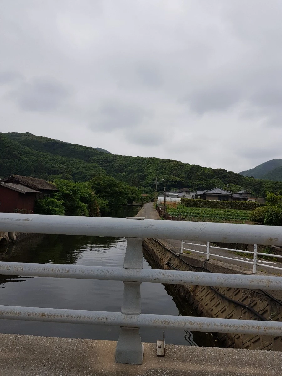 1560094463874-28.jpg?type=w1