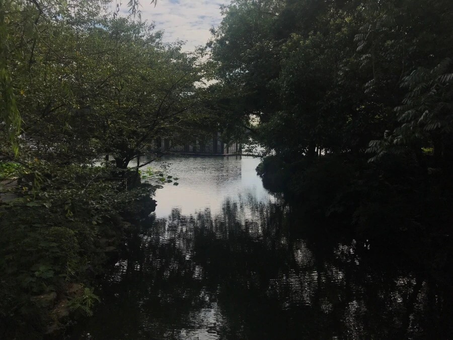 IMG_1153.jpg?type=w1