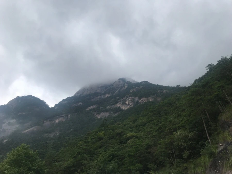 IMG_0682.jpg?type=w966