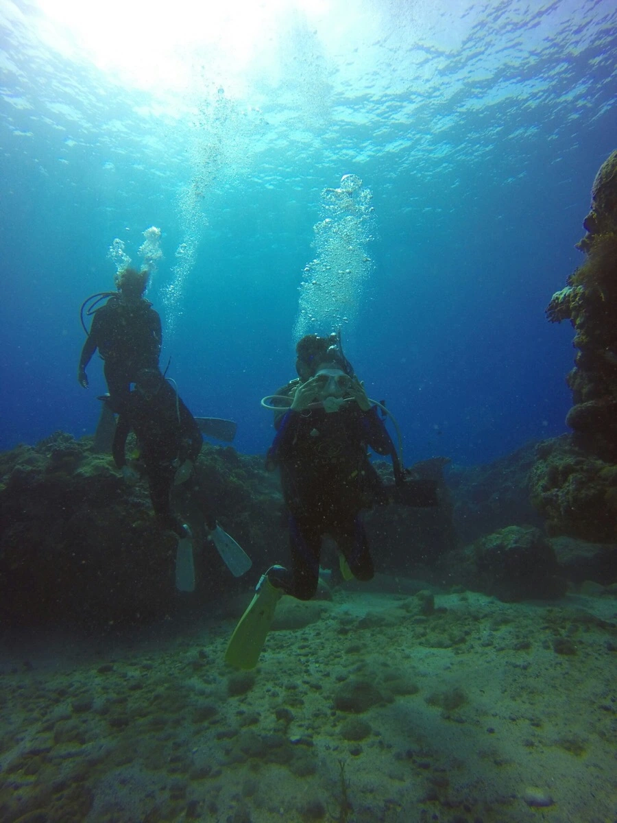 IMG_3588.jpg?type=w966