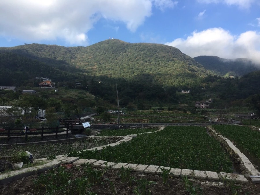 IMG_4207.JPG?type=w966