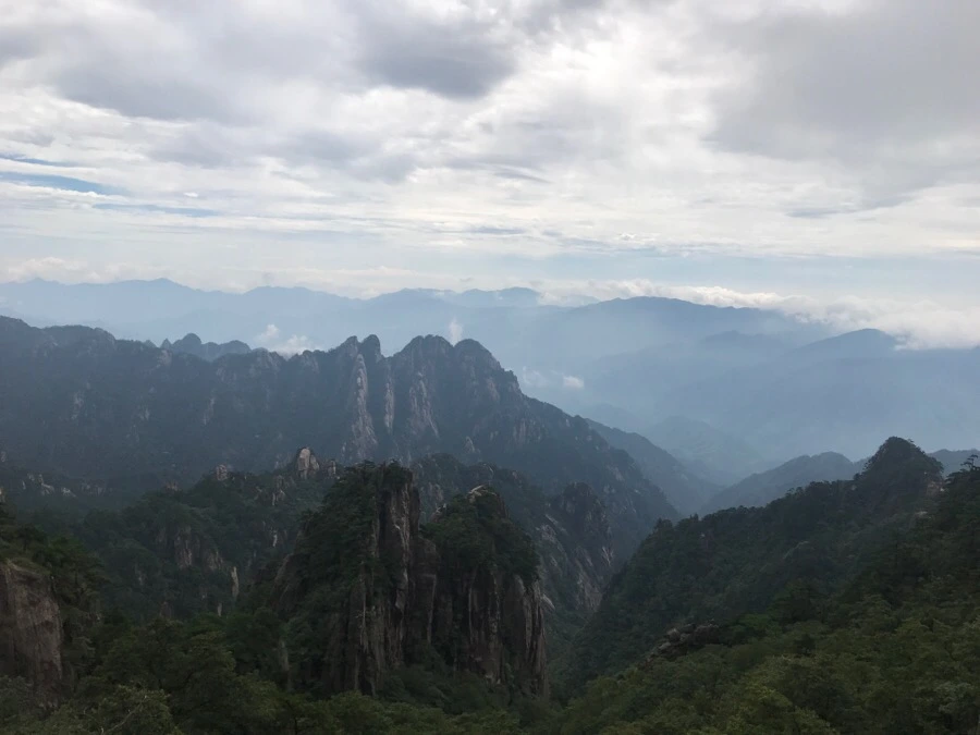 IMG_0709.jpg?type=w966