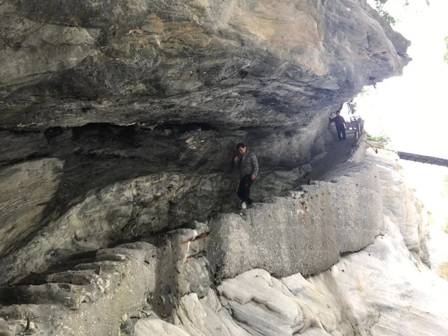 IMG_2096.jpg?type=w966