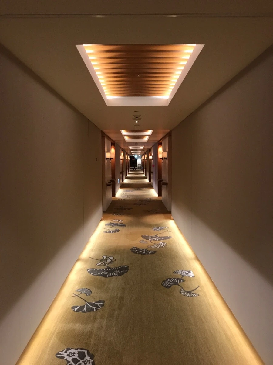 IMG_5388.jpg?type=w966