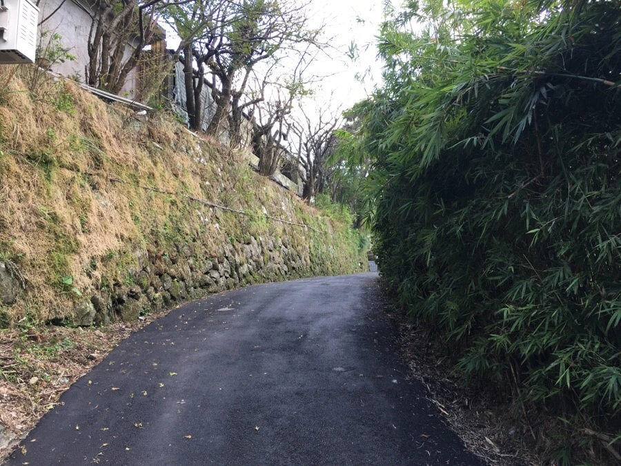 IMG_5356.JPG?type=w966