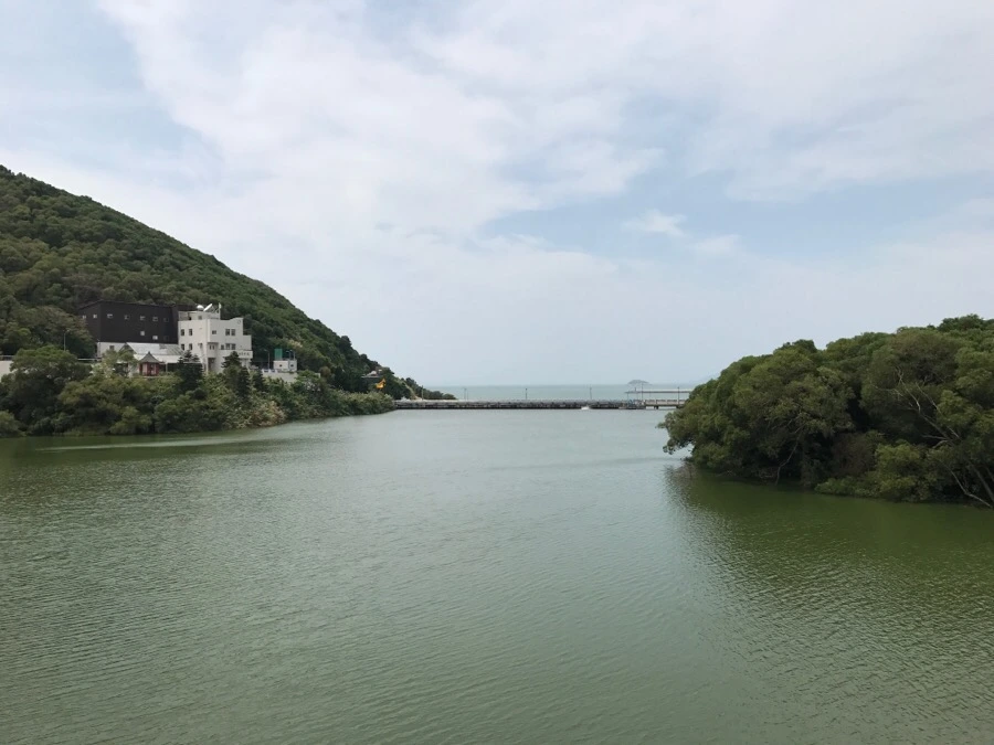 IMG_8450.jpg?type=w966