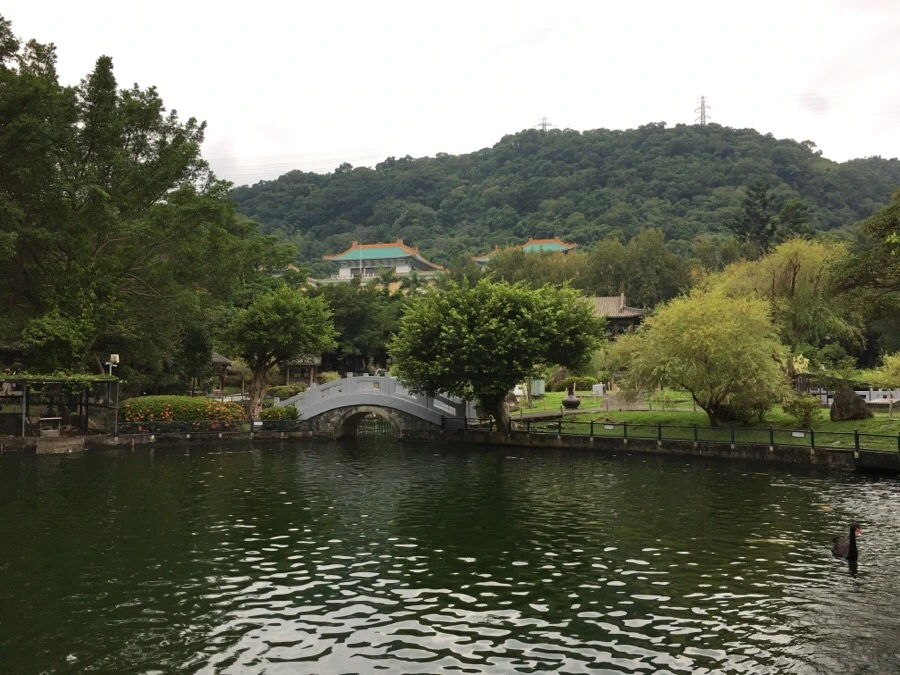 attachImage_1513632773.jpeg?type=w966