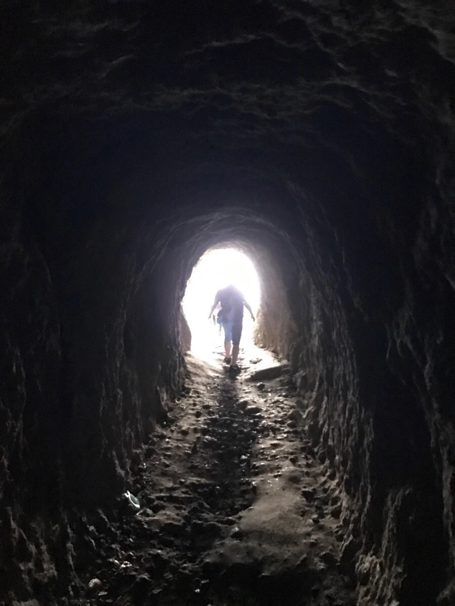 IMG_3793.jpg?type=w966