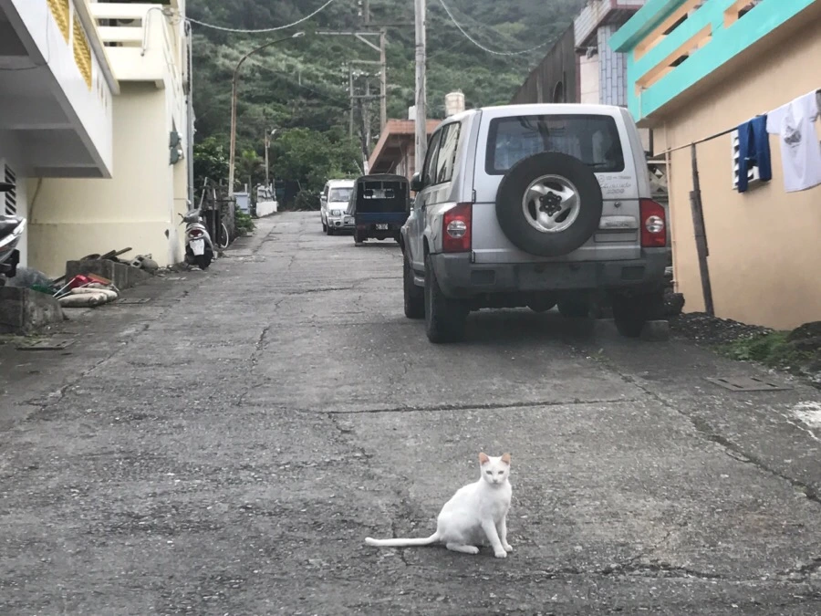 IMG_3797.jpg?type=w966