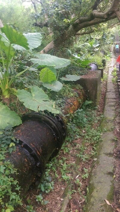 IMAG5984.jpg?type=w773